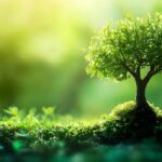 thriving tree in lush green environment nature conservation and protection concept free photo